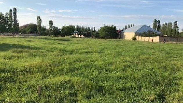 Bakıda torpaq sahələri bahalaşdı - VİDEO