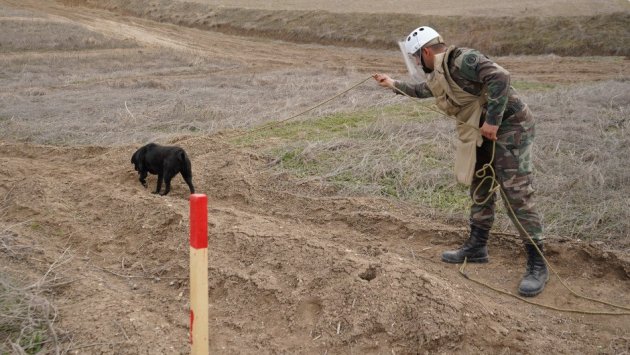 Azad olunan ərazilər minalardan belə təmizlənir &ndash; FOTO