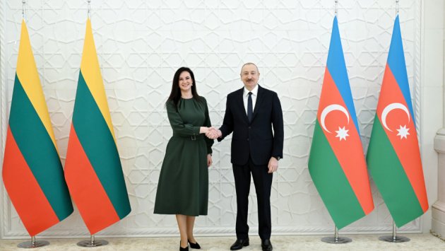 İlham Əliyev Litvanın Baş naziri ilə görüşdü - FOTO