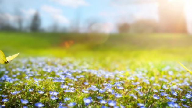 Əsl yaz havası olacaq &ndash; BU TARİXDƏ