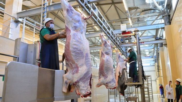 Qurban bayramı günlərində 134 ünvanda satış və kəsim xidmətləri göstərilir -AQTA