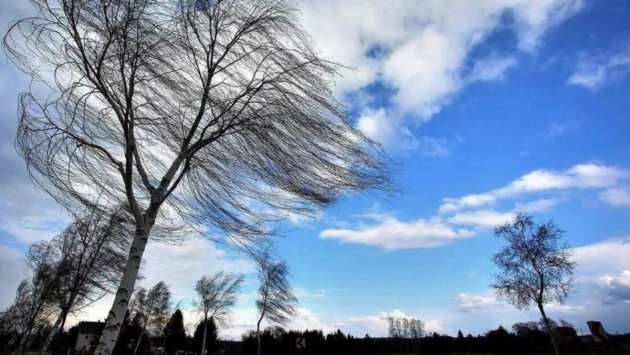 Bakıda və rayonlarda yenə güclü külək əsəcək – XƏBƏRDARLIQ Bakıda və rayonlarda yenə güclü külək əsəcək – XƏBƏRDARLIQ