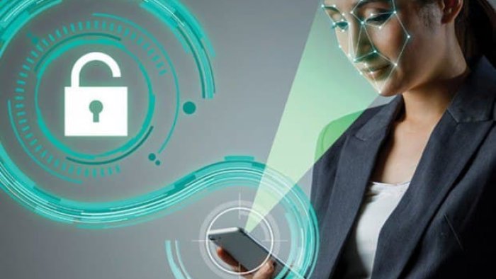 Paxta taytlari fetish