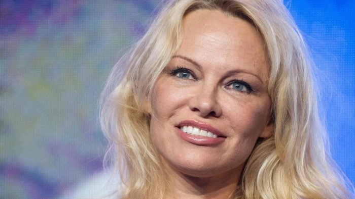 VKontakte jinsiy aloqada fohishalar majburiyatsiz Yirtilgan mushuklar va eshaklar