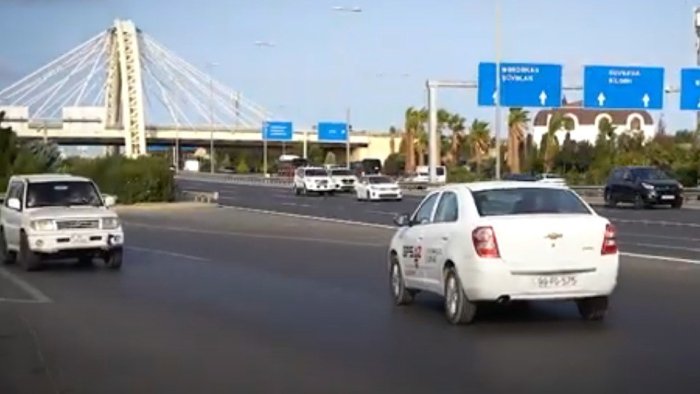 Ayol jinsiy azolarining porno galereyasi