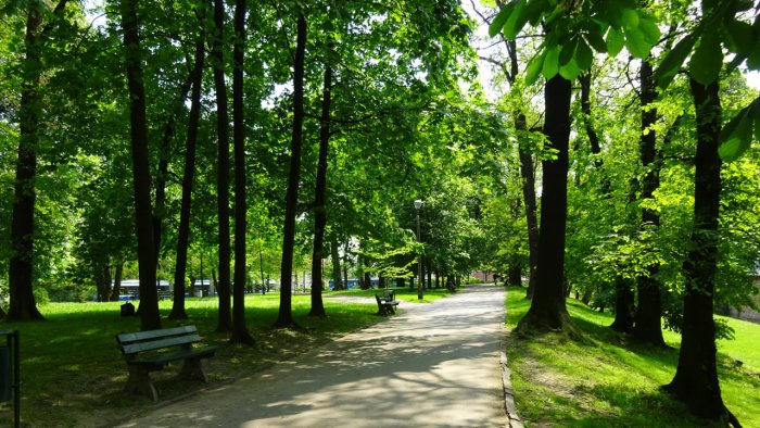 Parkda oz qolini korsatadi Parkda oz qolini korsatadi